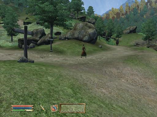 Elder Scrolls IV: Oblivion, The - Дневник имперского гастарбайтера. Том второй.