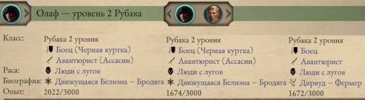 Pillars of Eternity - «Pillars of Eternity 2 II: Deadfire», часть первая.